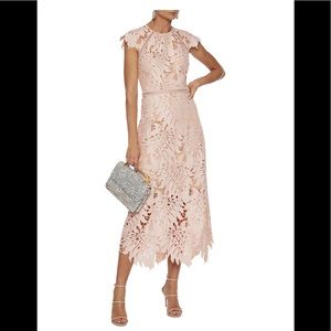 Nala Crochet-trimmed Guipure Lace Midi Dress In Blush